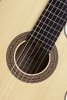 Duke Konzert F Cut Air gitara Elektro-klasyczna